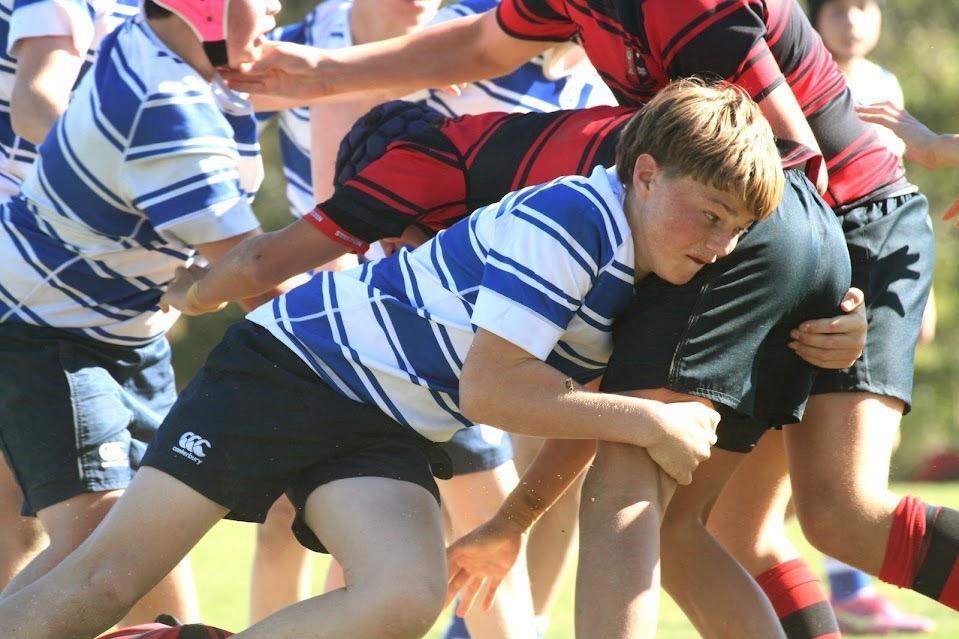 Junior athletes and pathway players